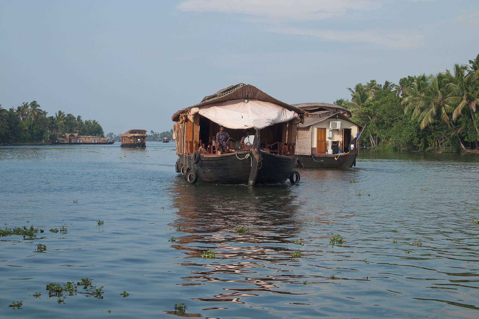 Houseboats moving through the Alappuzha backwaters in Kerala.